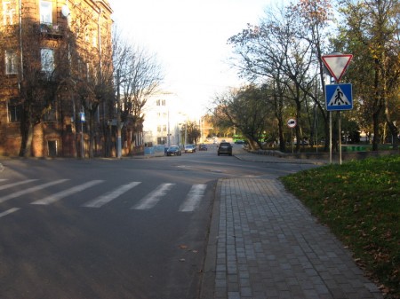 В Витебске приостановили строительство на месте парка (фото)