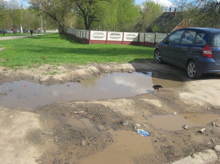 Віцебскія сябры БХД патрабуюць годнай паркоўкі ля абласнога кардыялагічнага Цэнтра (фота)