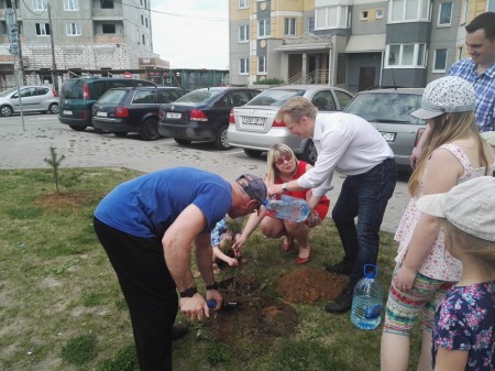 Актывісты БХД высадзілі дрэвы ў мікрараёне Каменная Горка (фота)