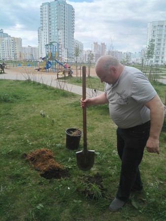 Актывісты БХД высадзілі дрэвы ў мікрараёне Каменная Горка (фота)