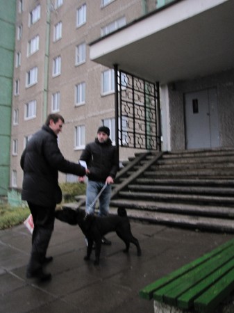 «Культурны сабачка»: сабакагадоўцаў заклікалі паважаць суседзяў і не пакідаць «мін» (фота)