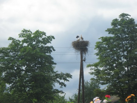 Замалёўкі бабулі-4