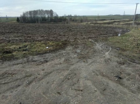 На Раство святы Мікола й Дзед Мароз збіралі подпісы за прамоўцу БХД (фота)