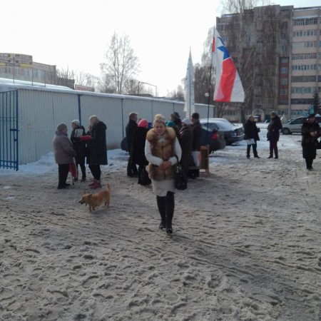 У Магілёве прайшоў пікет Галіны Жвірблі