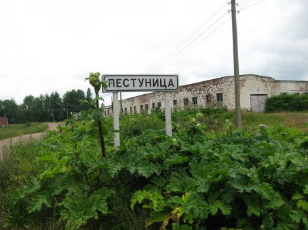 Каменны век Пестуніц