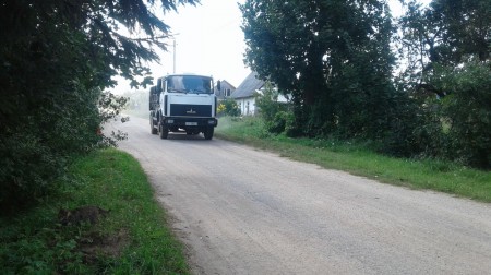 Гной, дарогі, вада, электрычнасць: Алена Янушкоўская падымае праблемы вяскоўцаў перад уладамі