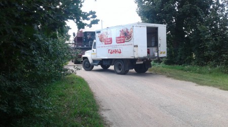 Гной, дарогі, вада, электрычнасць: Алена Янушкоўская падымае праблемы вяскоўцаў перад уладамі