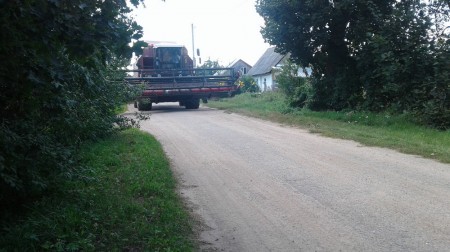 Гной, дарогі, вада, электрычнасць: Алена Янушкоўская падымае праблемы вяскоўцаў перад уладамі