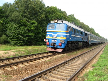 Лужкоўскі мядзведзь і Аршанскае лясніцтва