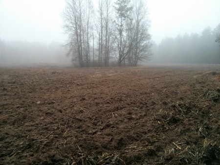Пад Віцебскам ушанавалі ахвяр камуністычных рэпрэсій (фота)