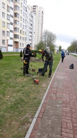 Скажы дурному паклоны біць...