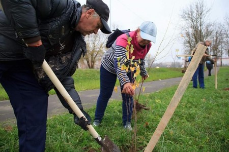 Віцебскія актывісты БХД далучыліся да гарадскога суботніка (фота)